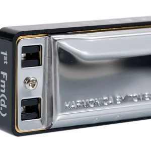Lee Oskar Natural Minor 10 Hole Harmonica - Soulful Versatility for Modern Blues