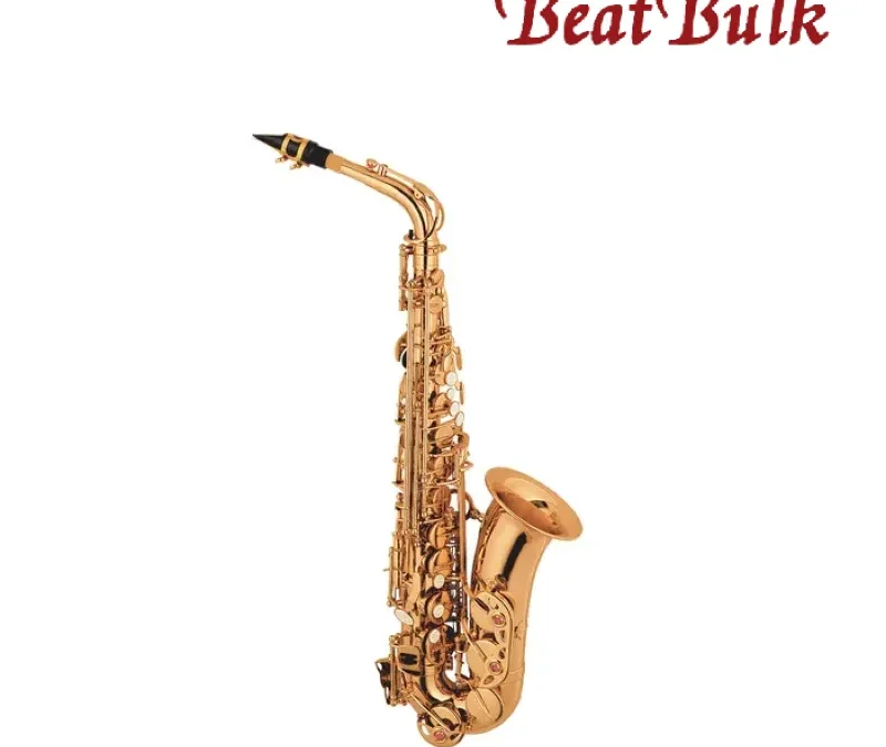 The Ultimate 2025 Saxophone Buyer’s Guide: 7 Secrets to Alto & Baritone Sax Cost