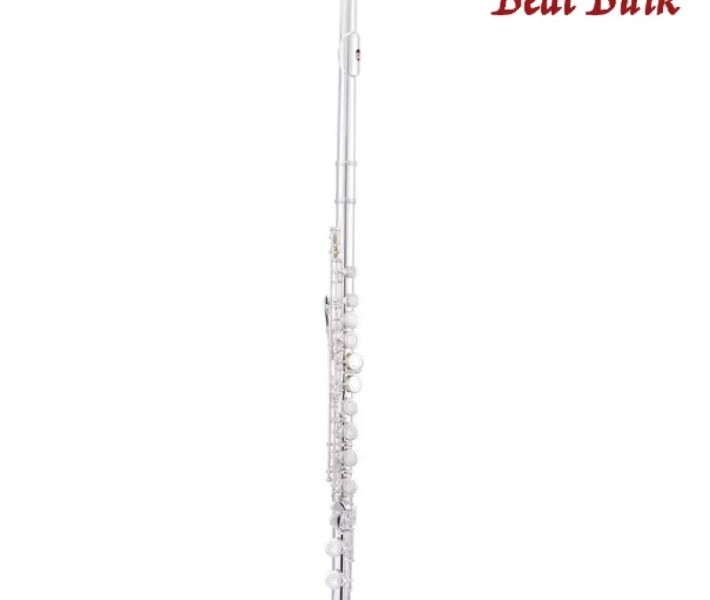 7 Key Factors for Choosing a Flute Instrument for Beginners in 2025: A Guide for Distributors & Schools