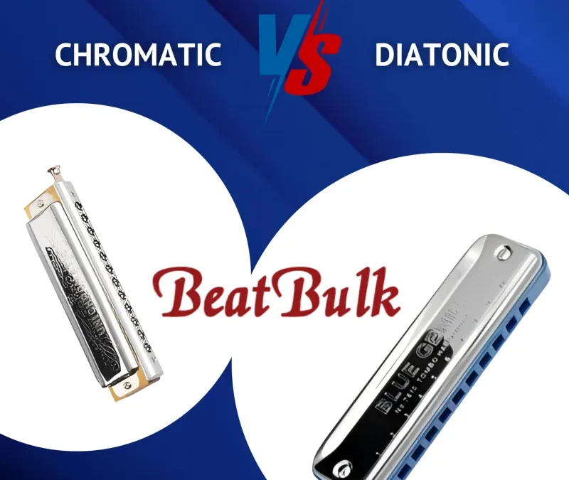 Chromatic vs Diatonic Harmonica: 7 Essential Facts Before You Buy a 12 Hole Chromatic Harmonica