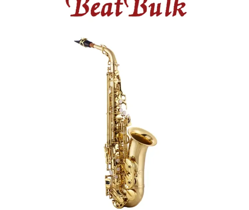 Best Saxophone for Beginners: A Complete 2025 Buying Guide