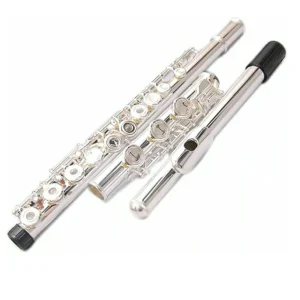 17 hole flute