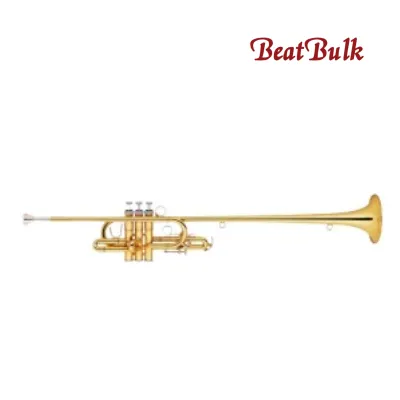 BeatBulk Trumpet vs Trombone An Expert's 7-Point Checklist for Aspiring Musicians in 2025