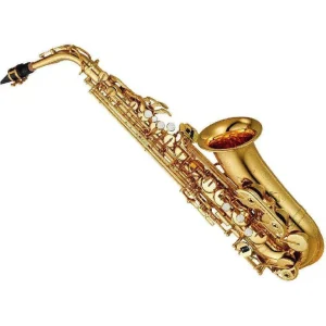 professional Alto Saxophone