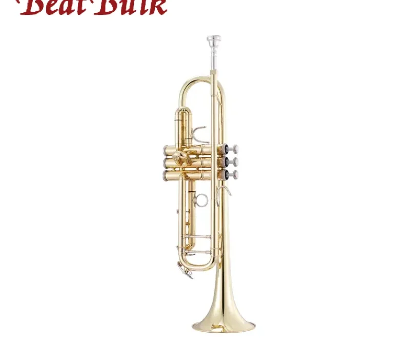 Best Trumpet Brands: A Complete Guide for Distributors, Bands, and Beginners