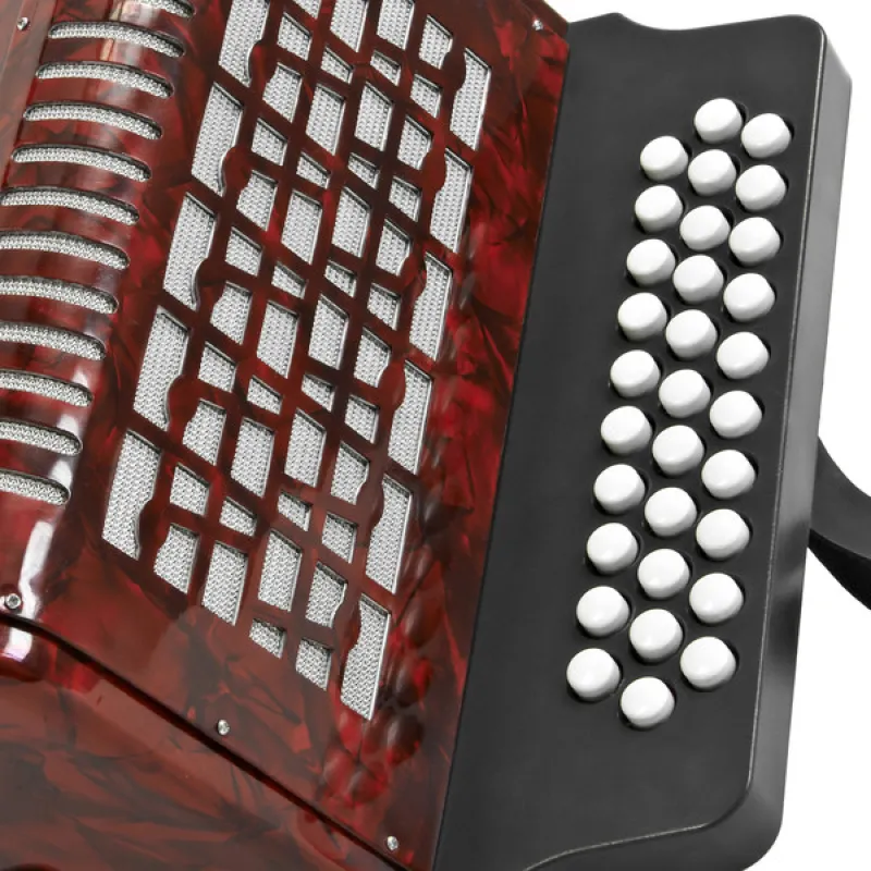 How to Play Diatonic Button Accordion A Complete Beginner’s Guide