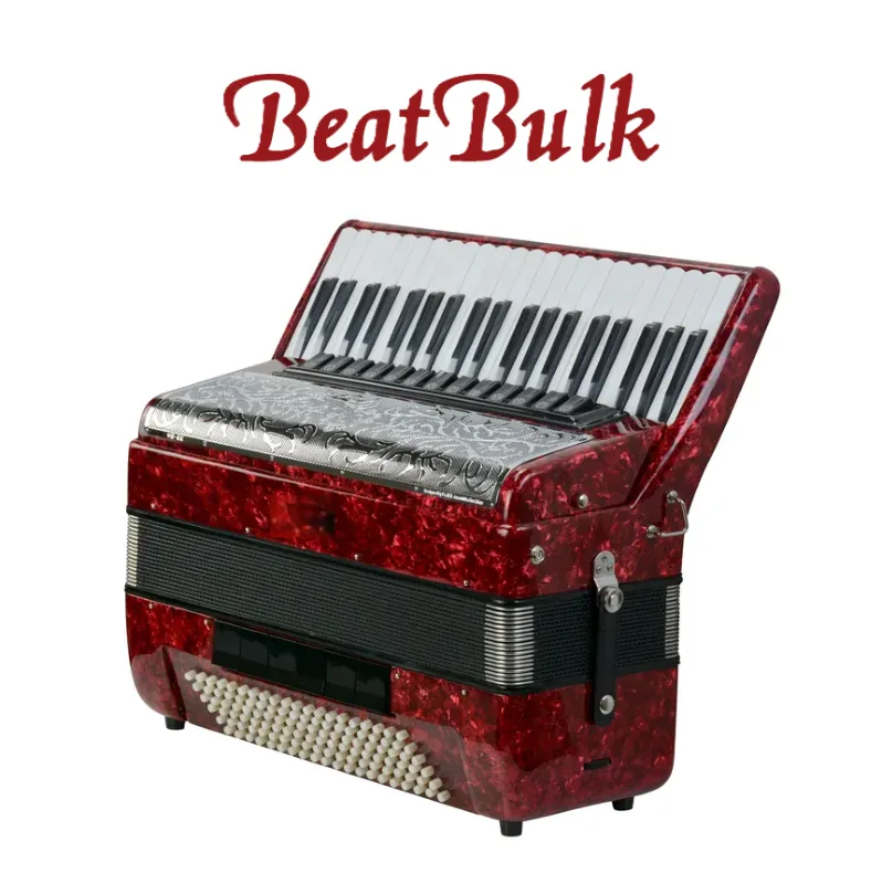 Expert Buyer's Guide: 7 Factors in the Difference Between Student vs Professional Accordion