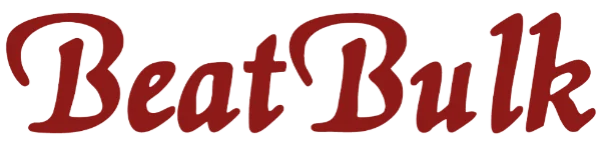 BeatBulk China Musical Instruments Manufacturer & Supplier